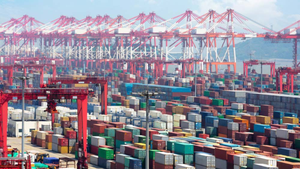 Các nhà xuất khẩu Trung Quốc thu lợi nhuận khi giảm giá cước vận tải biển 