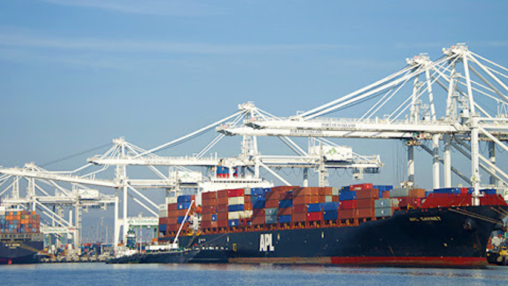 Supply chains in the US predicted to get worse in 2022