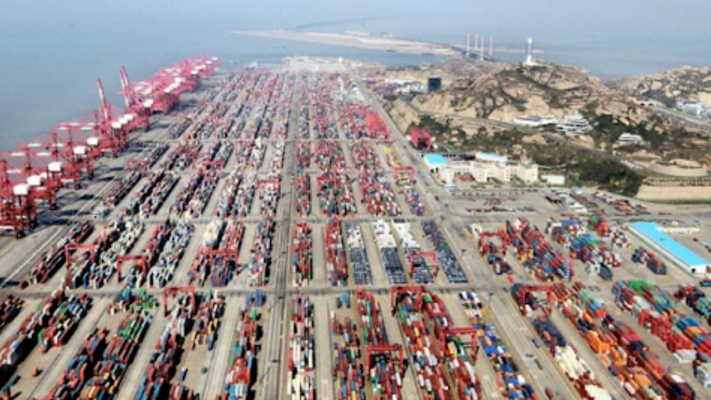 Dịch vụ container lạnh được chỉ đạo khôi phục tại cảng Thượng Hải