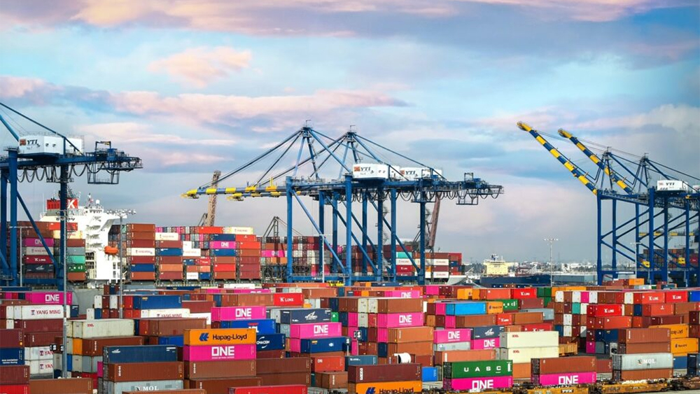 Blocked UK docks could be opportunity for manufacturers
