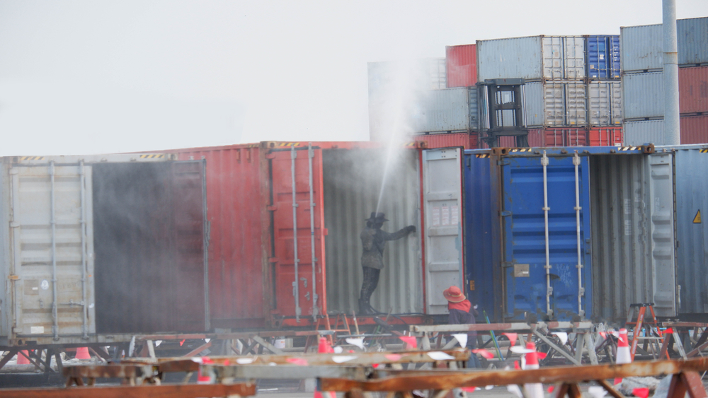 Import containers to be decontaminated as Australia enforces Khapra beetle rules